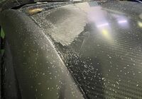 IMG_7983